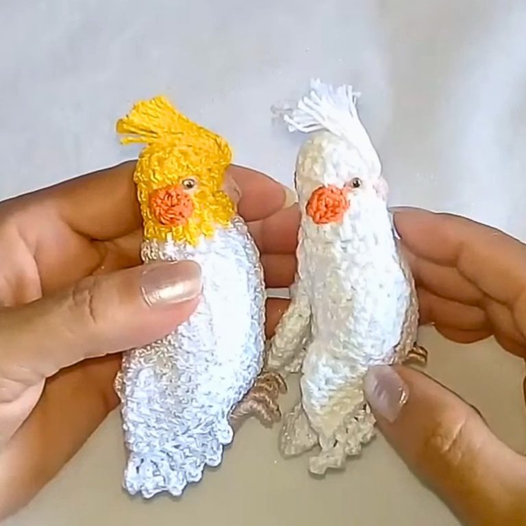 Cute & Free Crochet Cockatie Pattern for Home Décor