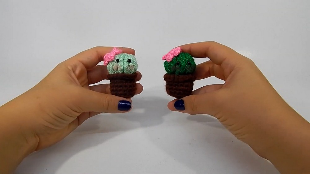 Crochet Cactus Amigurumi