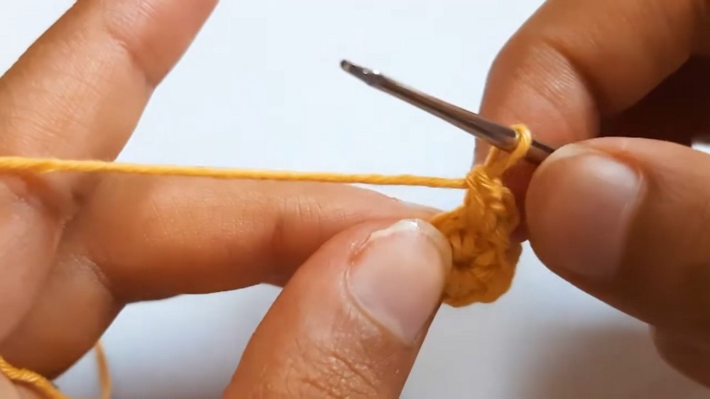 Crochet Pineapple Mini