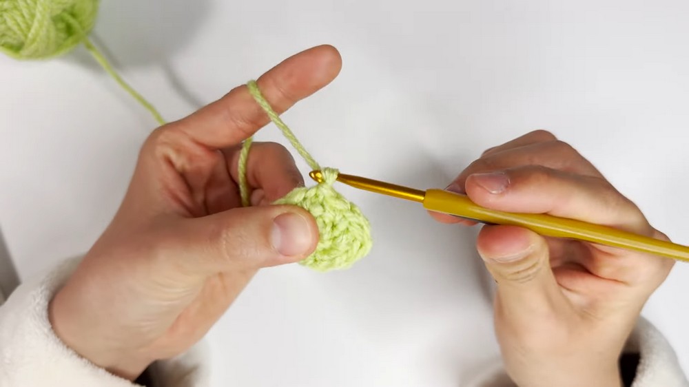 Crochet Strawberry Amigurumi
