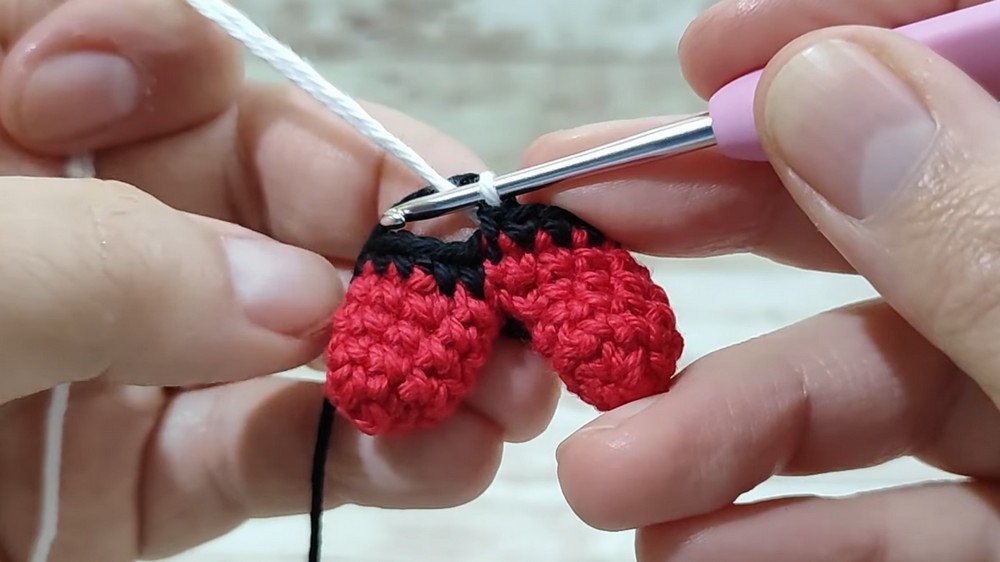 Crochet Juan Carlos Bodoque