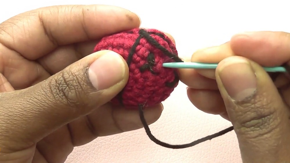 Crochet Ladybug Amigurumi
