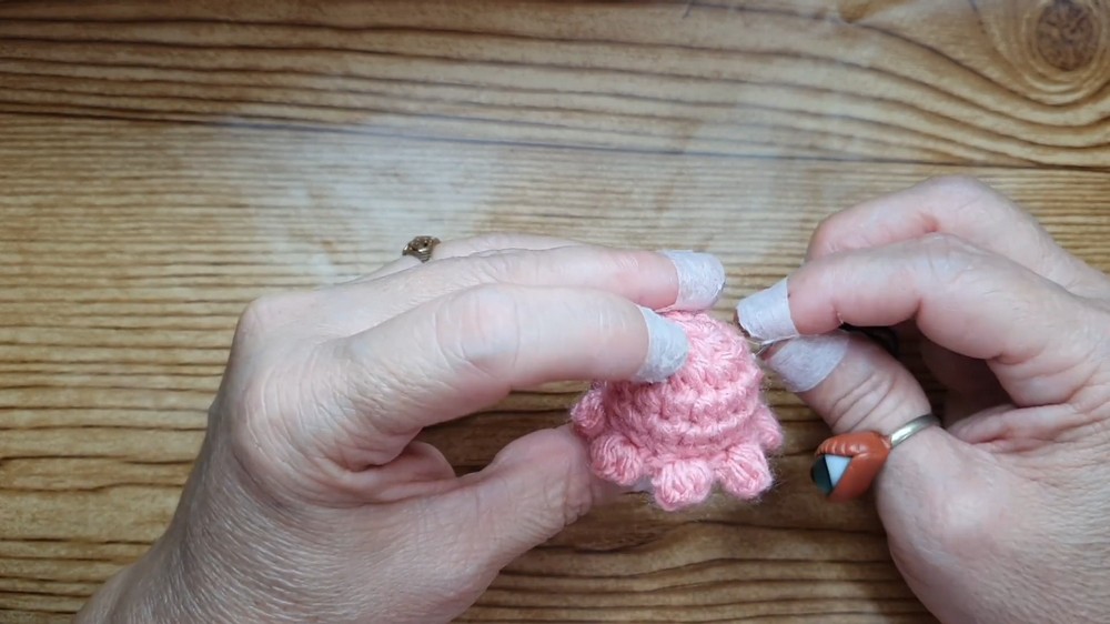 Crochet Mini Octopus