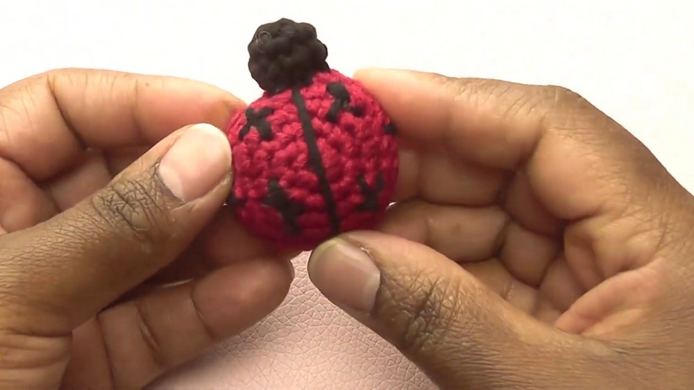 Crochet Ladybug Amigurumi