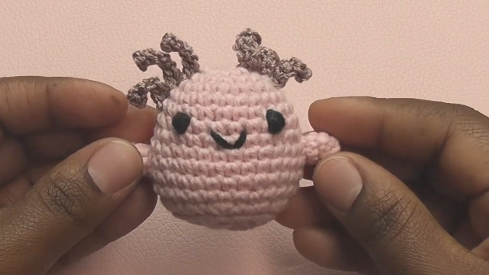 Crochet Axolotl Amigurumi