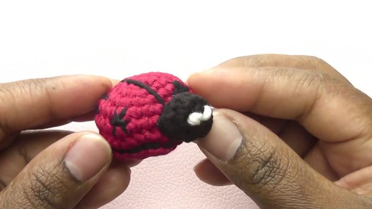 Crochet Ladybug Amigurumi