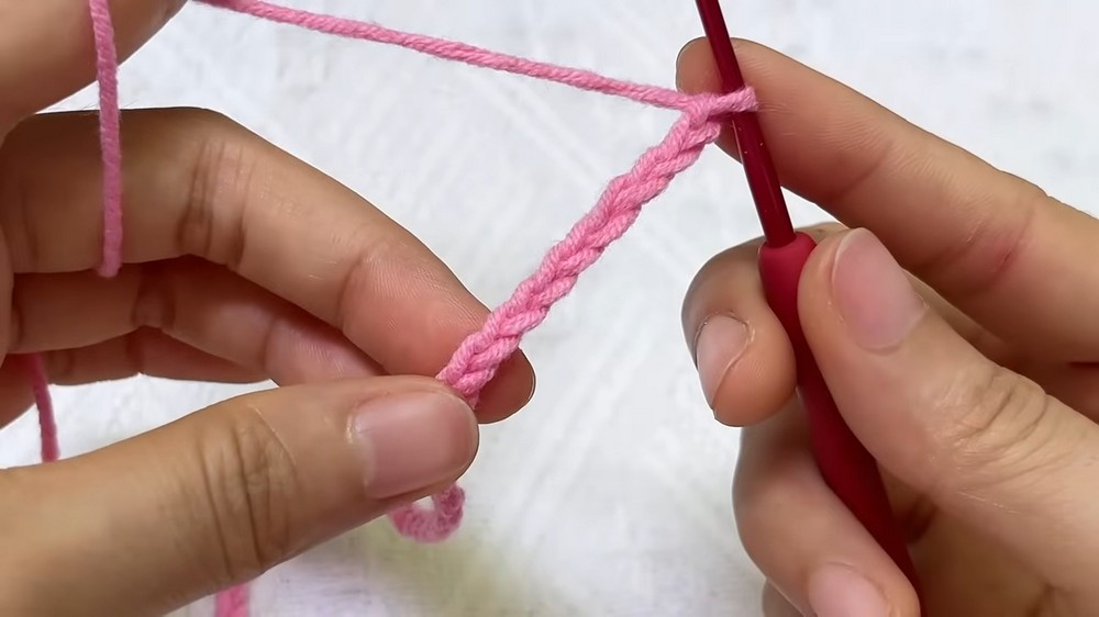 Beautiful Crochet Rose Pot with Easy Pattern (6)