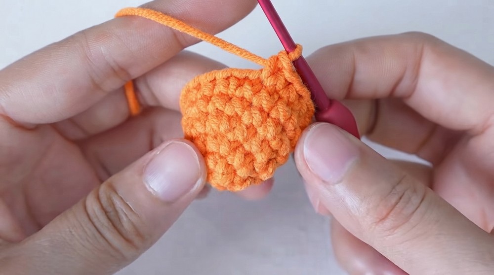 Crochet Carrot Keychain Step by Step (5)