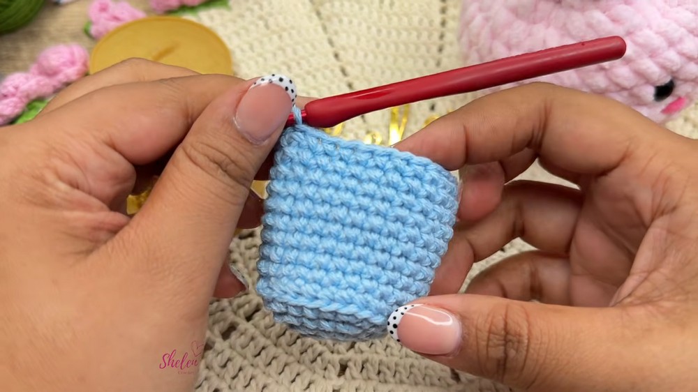 Crochet Dumpling Keychain and Squishy 🥟✨ Easy, Quick and Adorable Step-by-Step Tutorial (4)