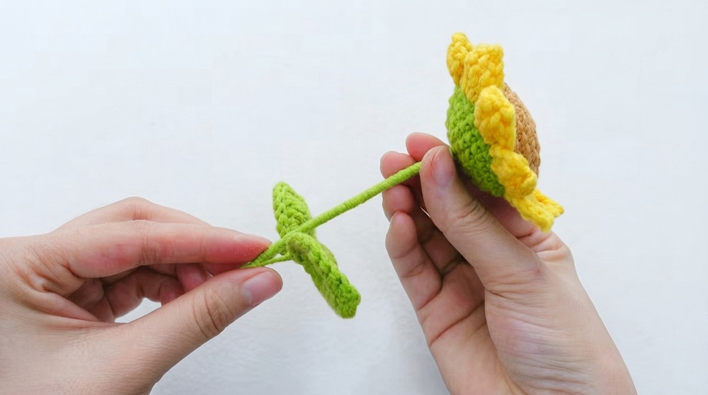 Crochet Flower Pot (6)