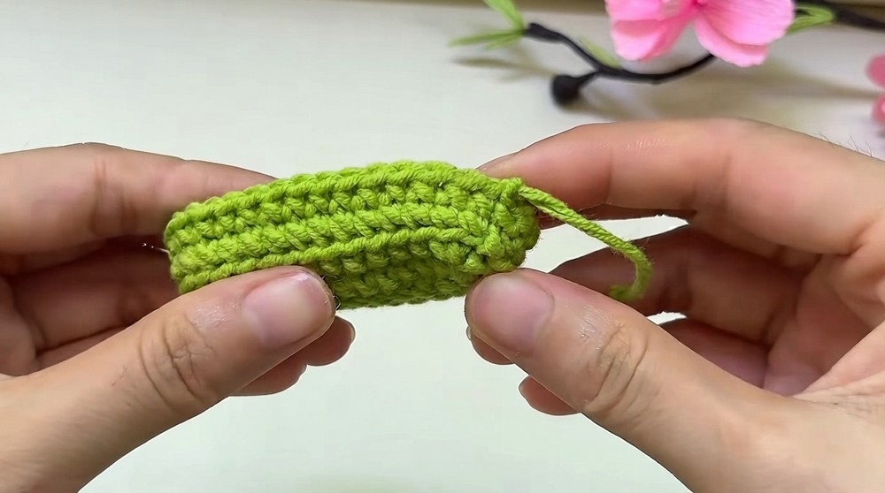 Crochet Watermelon keychain amigurumi (5)