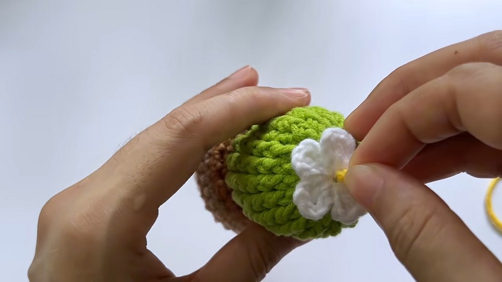 Cute Crochet Cactus Pattern (4)