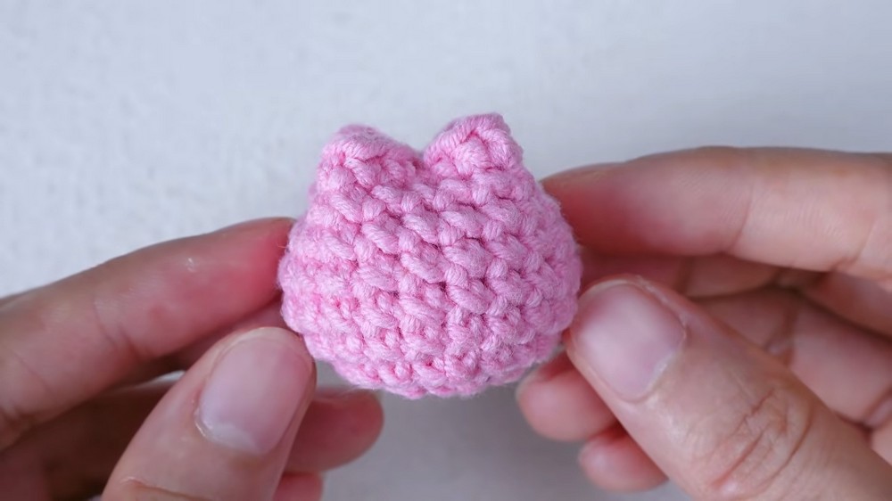 How to Crochet TULIP POT for beginners (7)