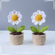 How to Crochet a Mini Daisy Pot (1)