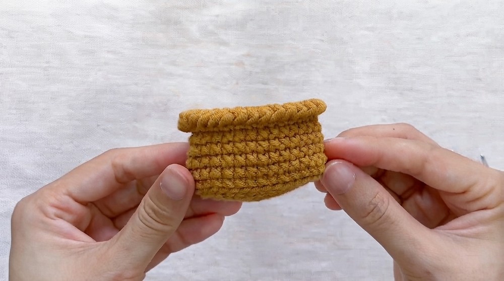 How to crochet Heart Cactus Pattern (5)