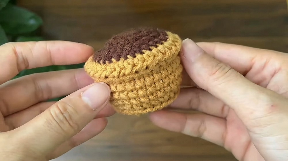 How to crochet a Mini Tulip Pot (5)