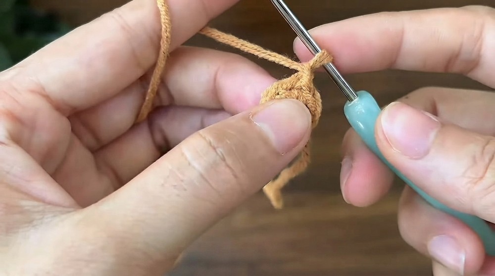 How to crochet a Mini Tulip Pot (6)