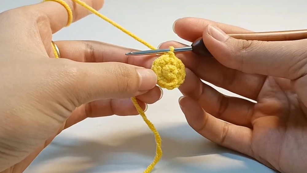 Crochet Amigurumi Lucky Money Bag Pattern 1